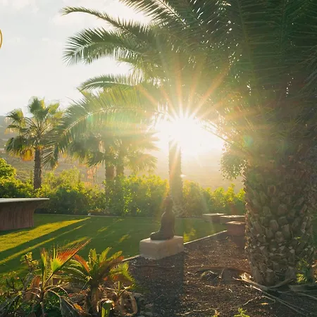 Canaan In Tenerife - Heated Pool, Ocean Views, Palm Garden, Villa Costa Adeje  Exterior photo
