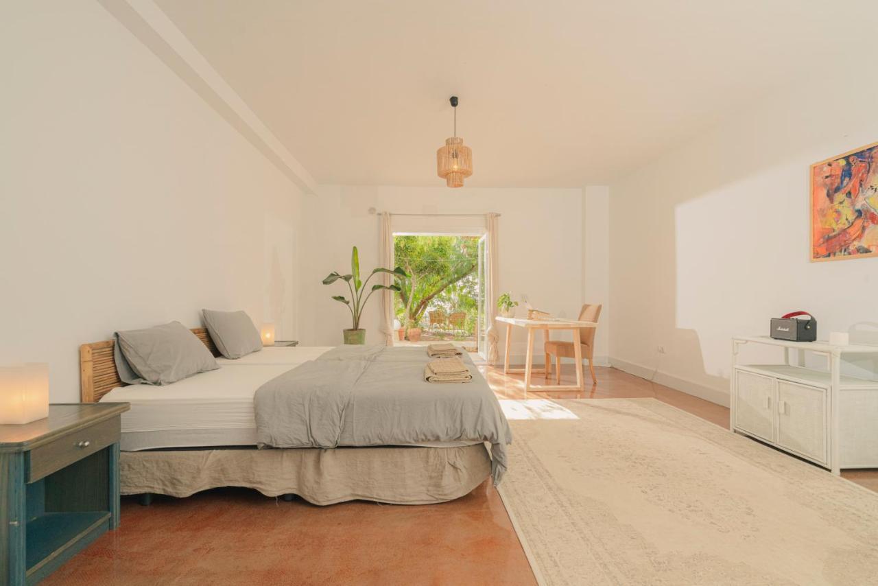 Canaan In Tenerife - Heated Pool, Ocean Views, Palm Garden, Appartement