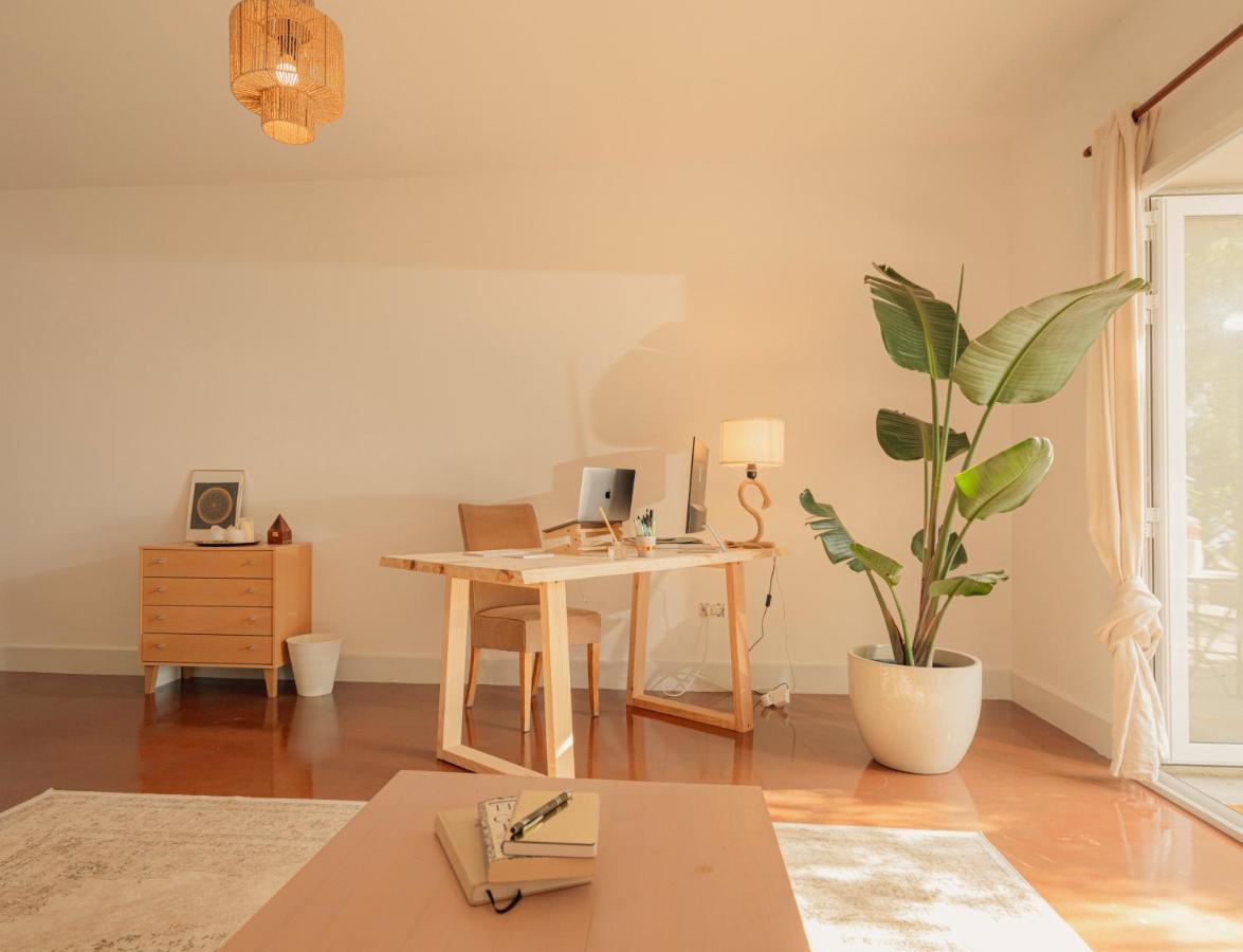 Canaan In Tenerife - Heated Pool, Ocean Views, Palm Garden, * Costa Adeje (Tenerife)