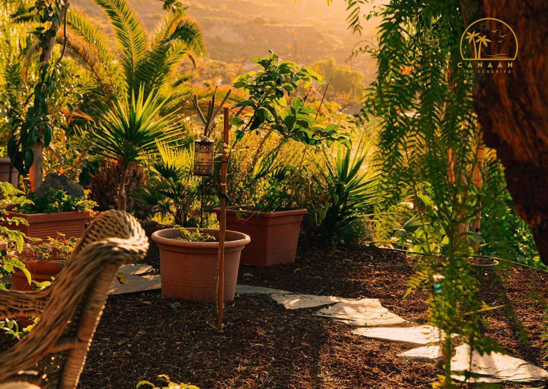 Canaan In Tenerife - Heated Pool, Ocean Views, Palm Garden, Apartment Costa Adeje (Tenerife)