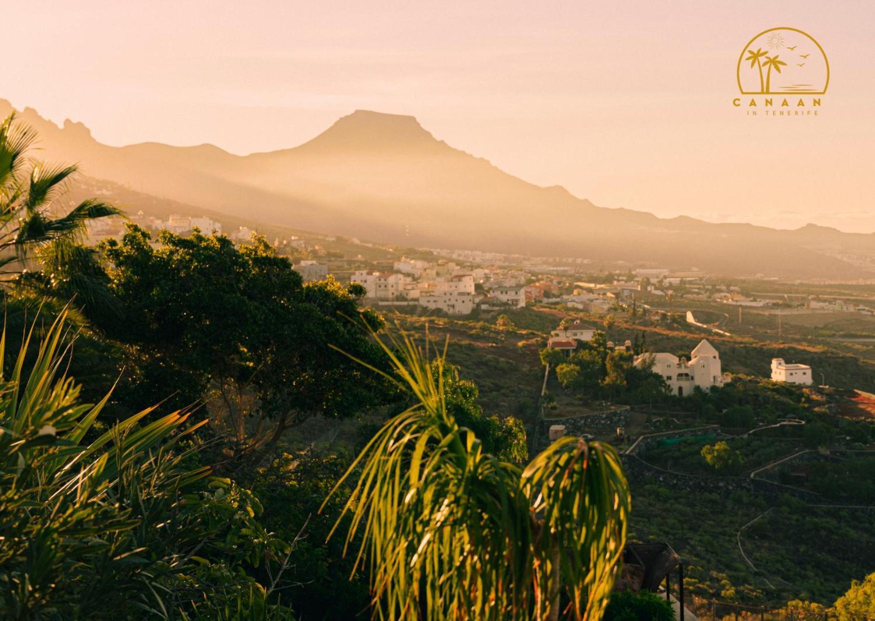Apartment Canaan In Tenerife - Heated Pool, Ocean Views, Palm Garden,