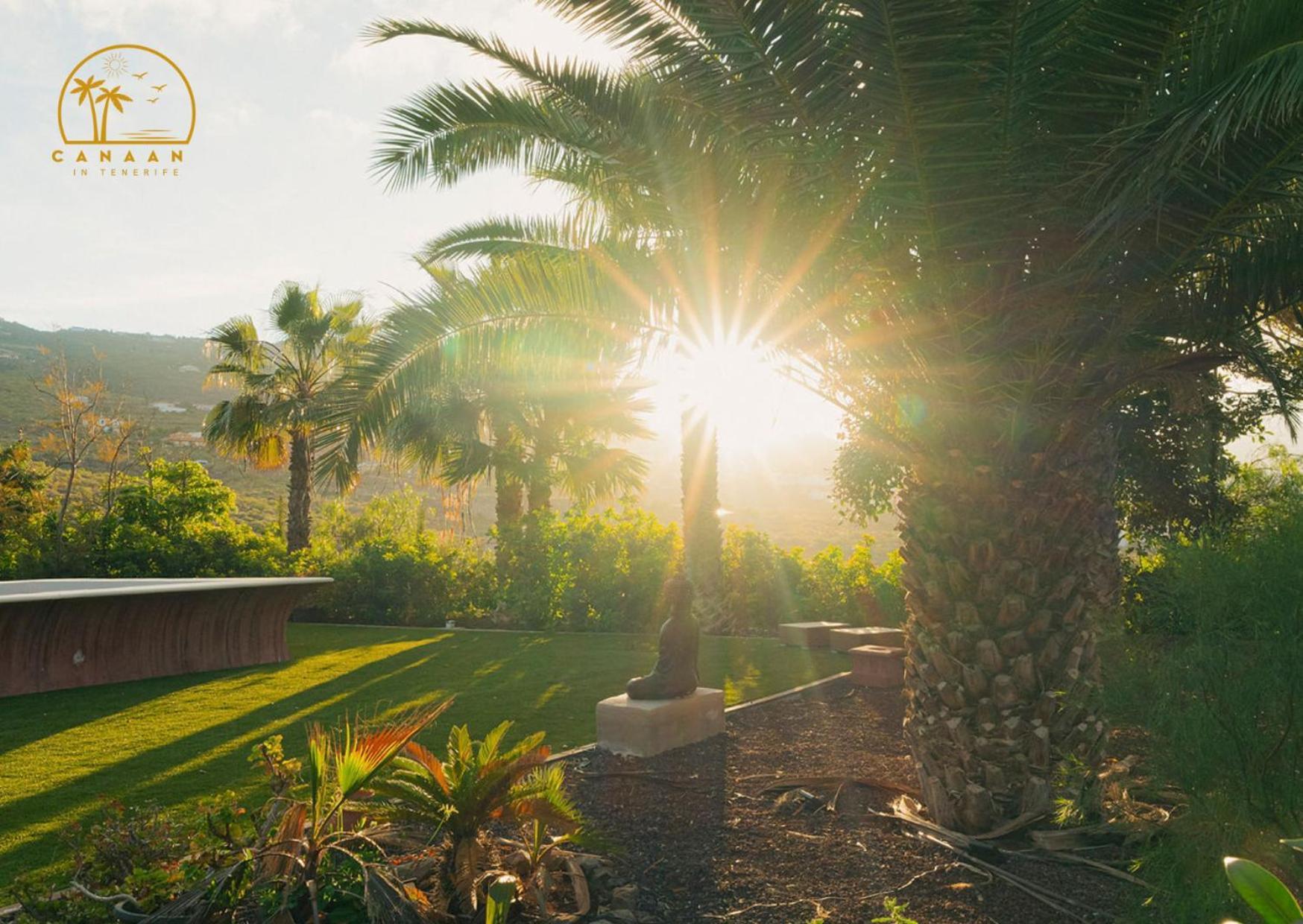 Canaan In Tenerife - Heated Pool, Ocean Views, Palm Garden, Costa Adeje (Tenerife)